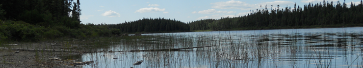 Stage SARROS à La Sarre en Abitibi-Ouest