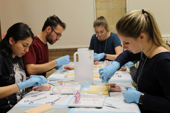 ACTIVITÉS DU GIMF DE L’UDEM AU CAMPUS DE MONTRÉAL