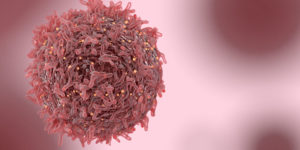 Témoignages : Hypocrite, novembre 2017